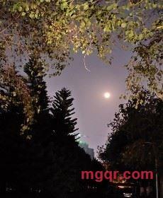 佛山肥哥的第4张照片