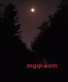 佛山肥哥的第3张照片