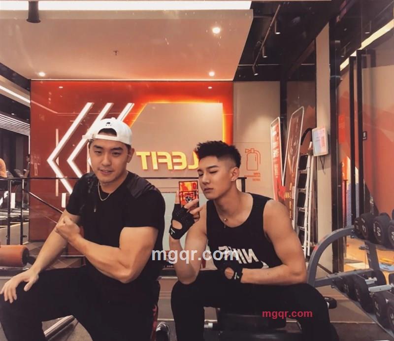 灰色咖啡猫的第1张照片