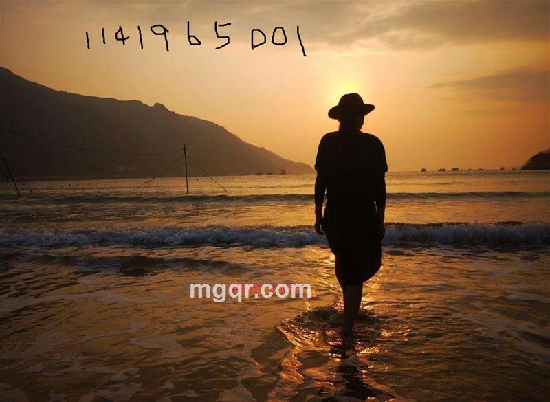 凤凰028的第1张照片