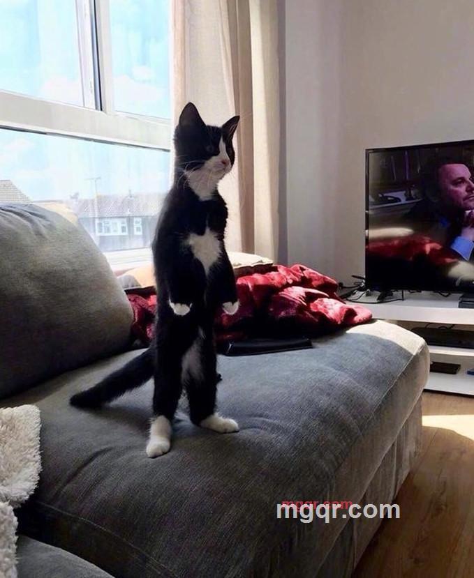 xj80067的第1张照片