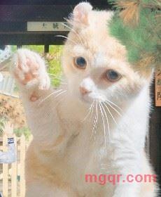 美丽公主的第1张照片