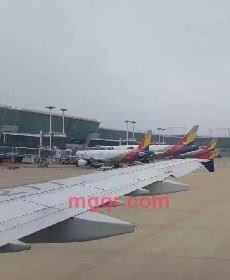 清风徐来的第1张照片