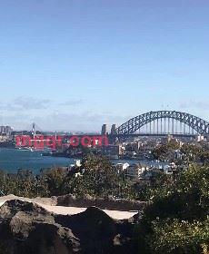 清风徐来的第4张照片