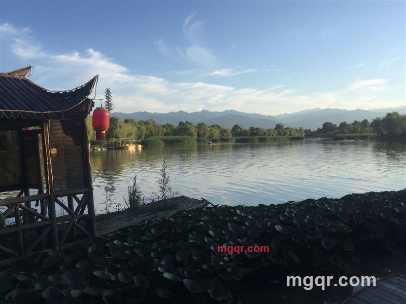 会员5101011的第4张照片