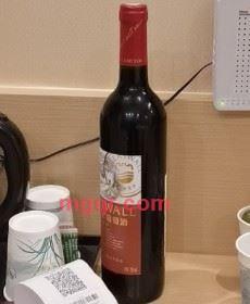 无谓风景的第1张照片