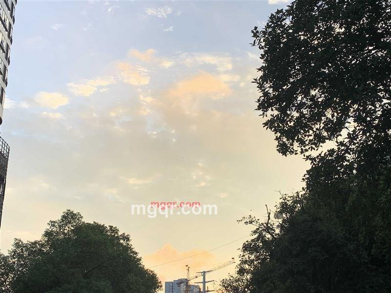 霞妹的第1张照片