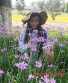 残花碎情衷的第1张照片