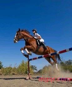 撕掉你的丝袜的第1张照片