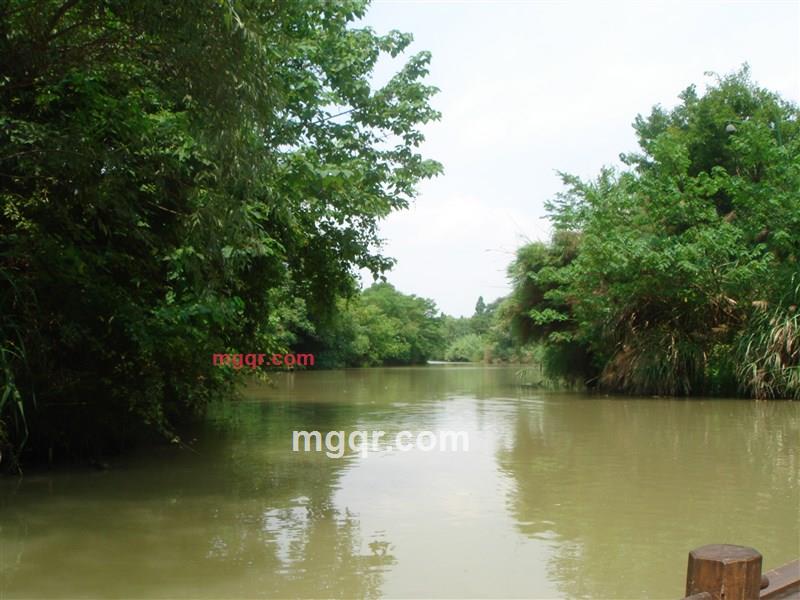 夏国123的第1张照片