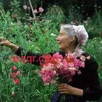 Jane的第1张照片