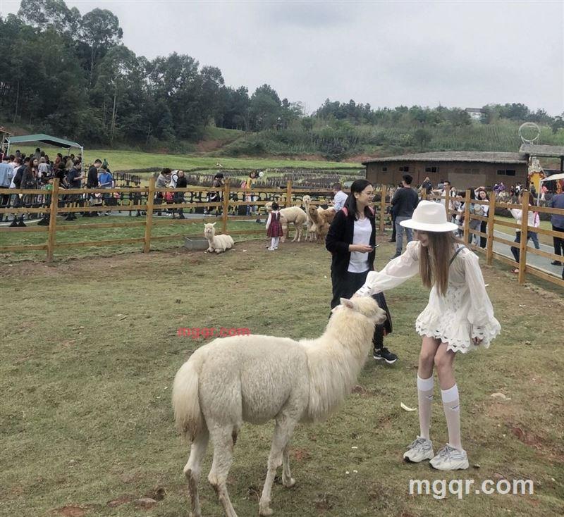 nihai 的第1张照片