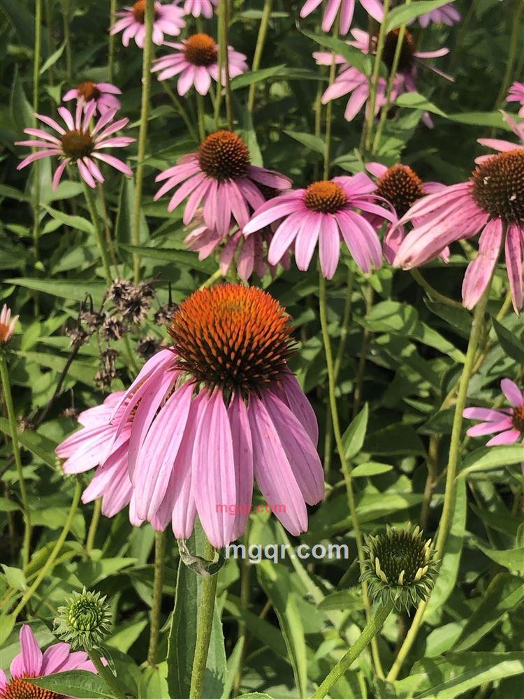 孤星小哥哥的第1张照片