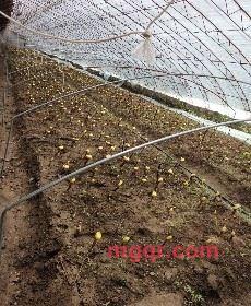 蓝二公子的第3张照片