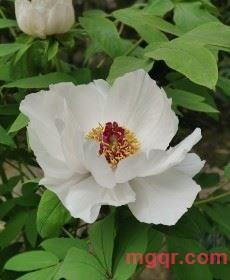 蓝二公子的第1张照片