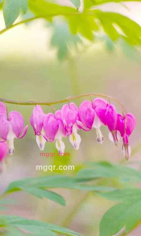 遗忘&开始的第1张照片