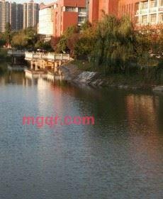 雅丫丫的第1张照片