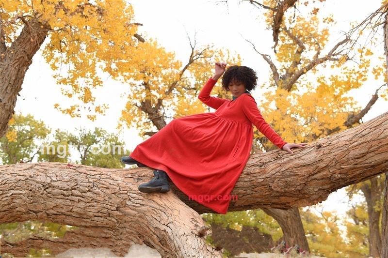 阑珊的第2张照片