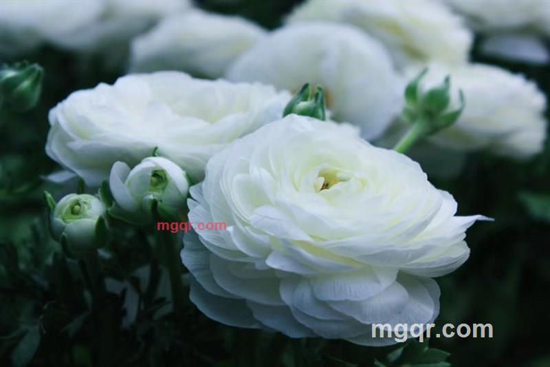 溜溜的溜溜的的第1张照片