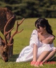 杨枝甘露的第2张照片