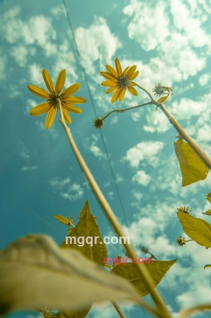 穿越红尘2020的第2张照片