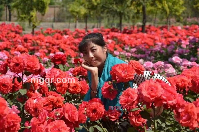 水月甜心的第1张照片