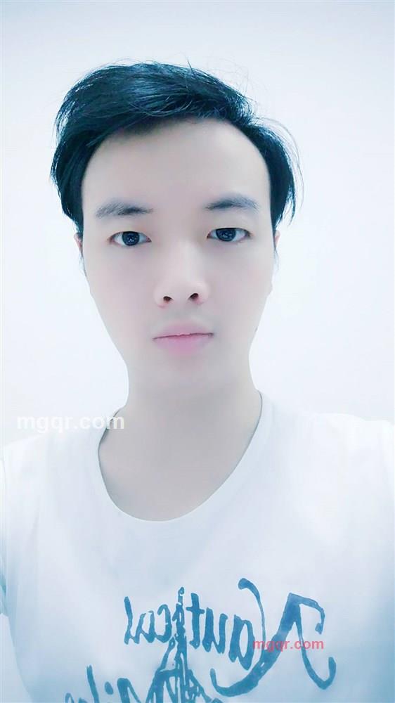 安静的狼的第1张照片