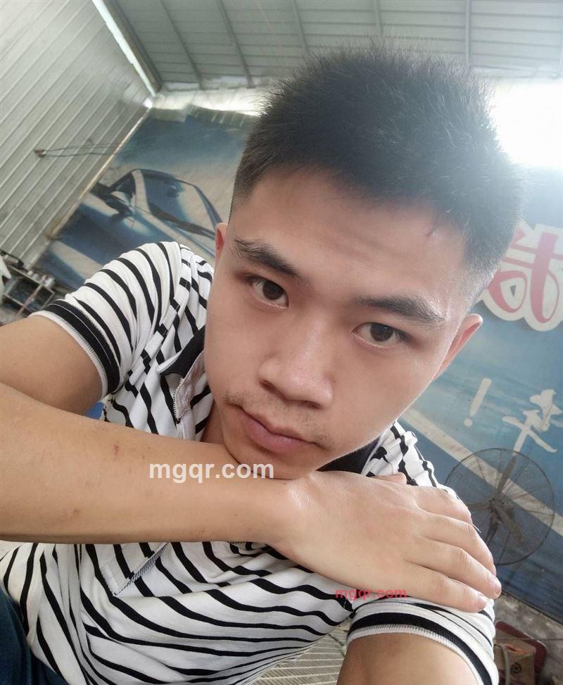 会飞的猪的第1张照片