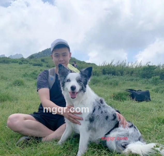 散潞散吴灵旧潞潞漆的第1张照片