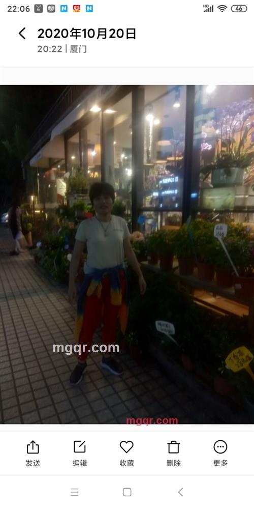 女中情的第1张照片