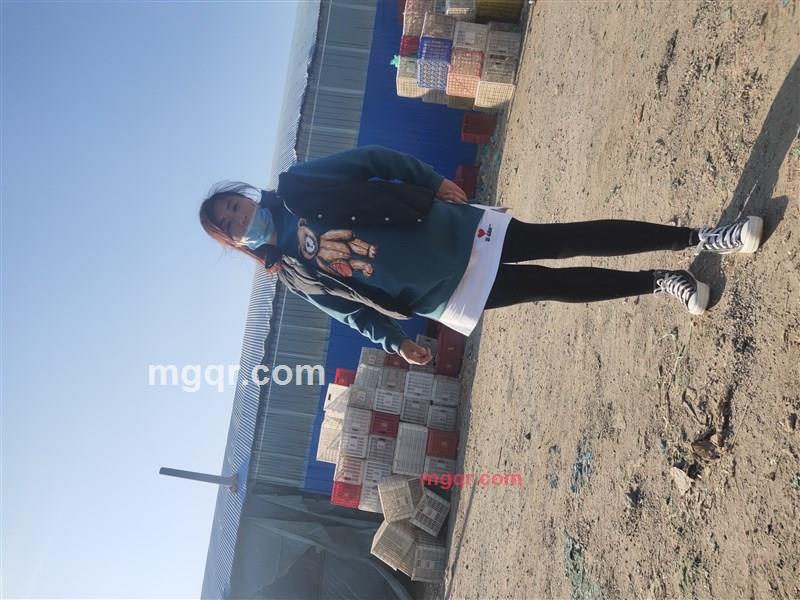 温柔爱的第1张照片