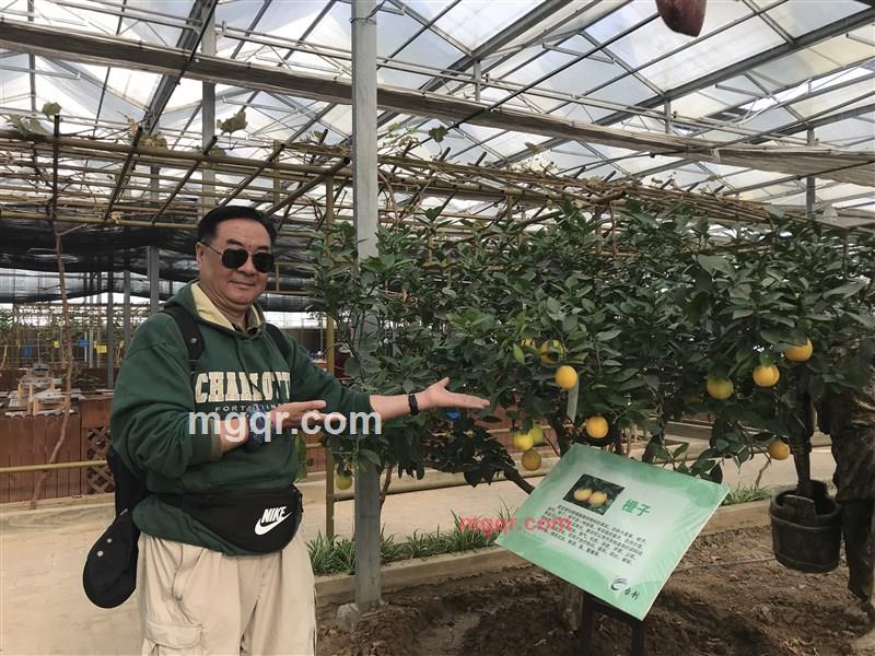 ajieke的第20张照片