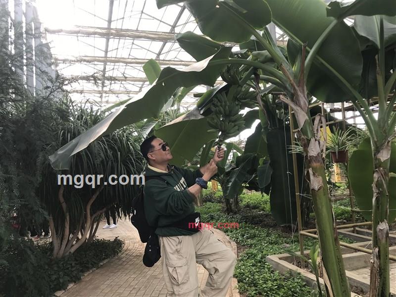 ajieke的第19张照片