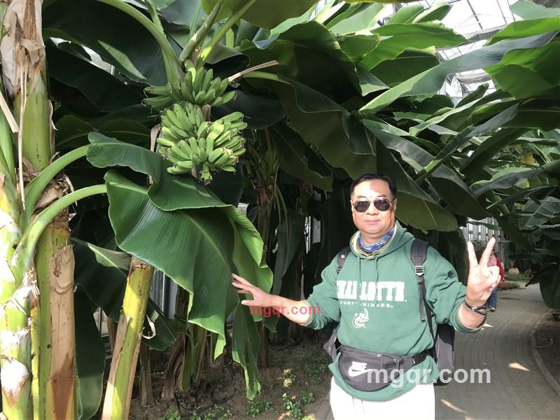 ajieke的第17张照片