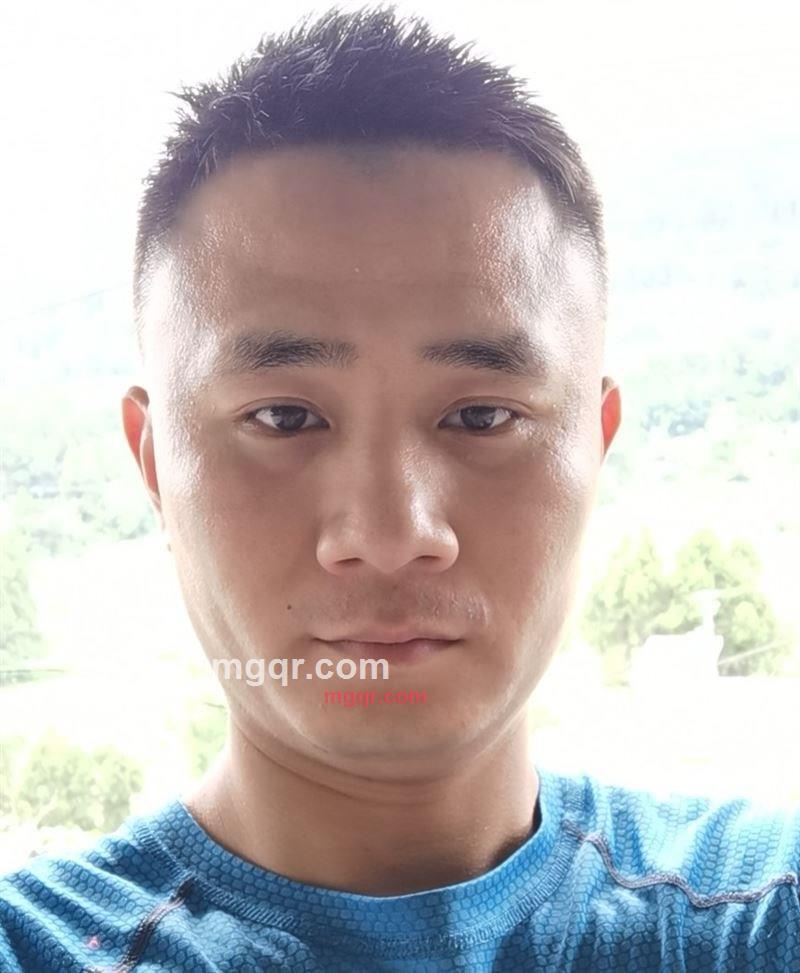 追逐爱情的猫咪的第1张照片