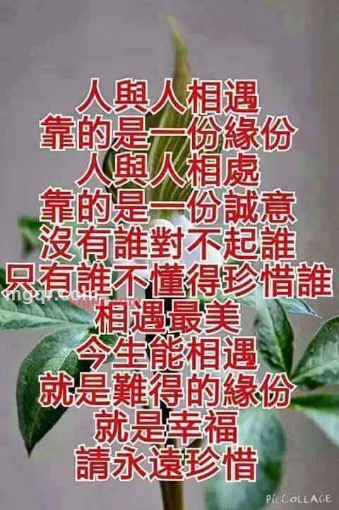 網美人魚9999的第1张照片