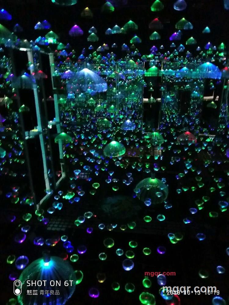 纯情胖猪猪的第1张照片