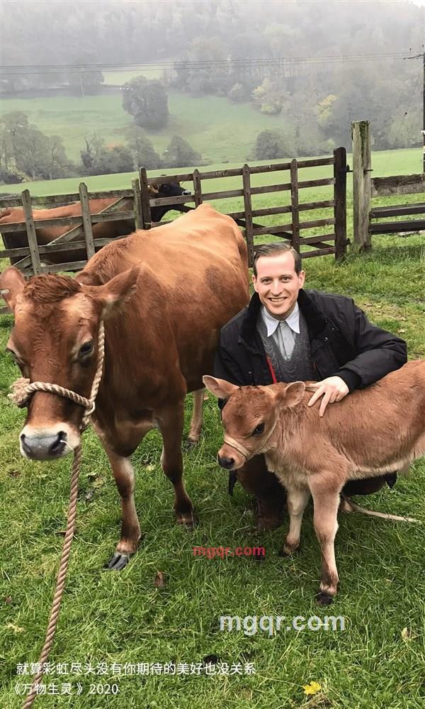 小野狼的第1张照片