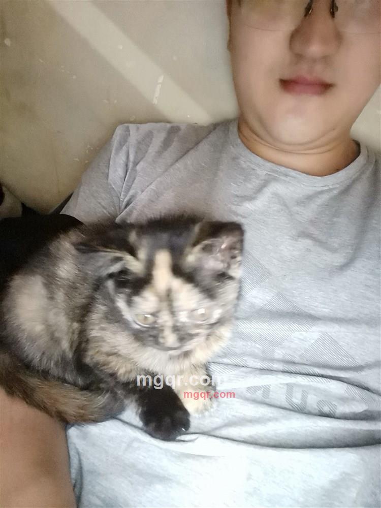 逍遥的第3张照片