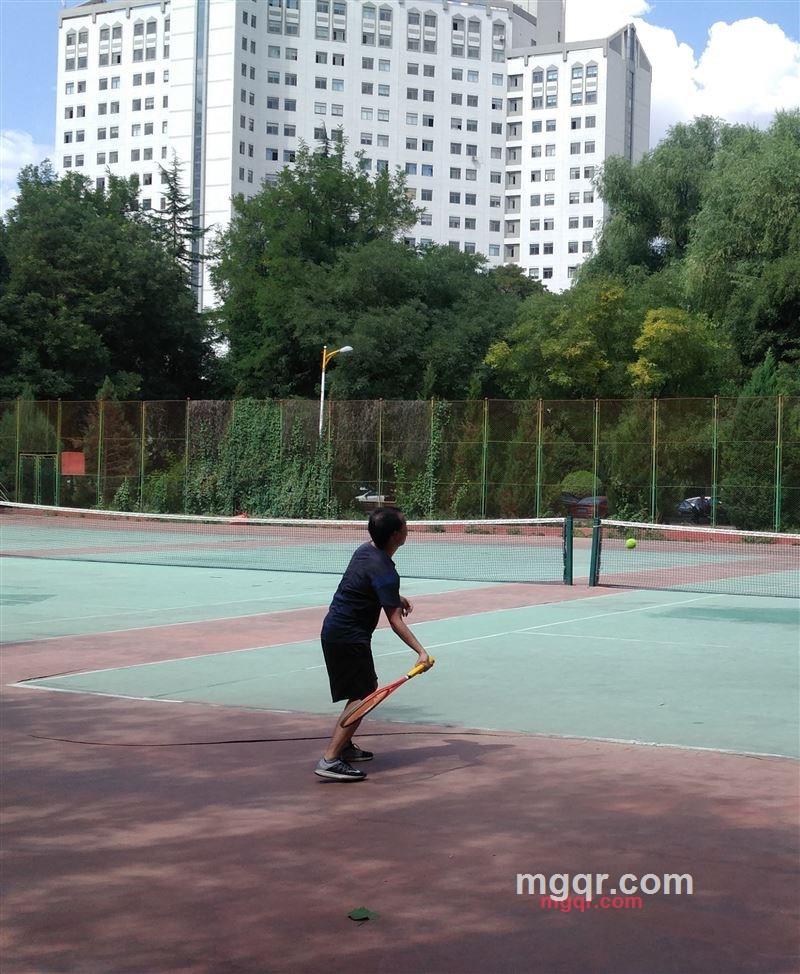 会员5151995的第3张照片