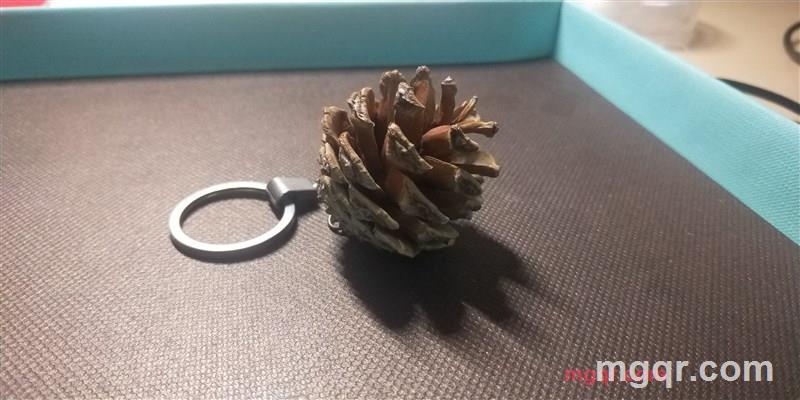 余力鱼的第2张照片