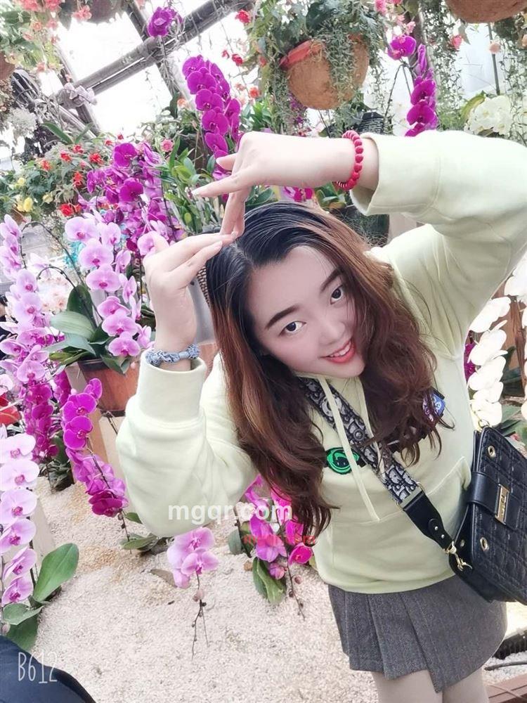 会飞的鱼的第2张照片