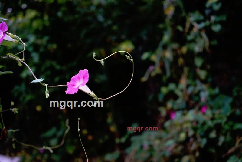 帅的像风的第1张照片