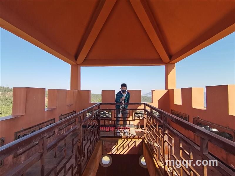 海参薄荷的第4张照片