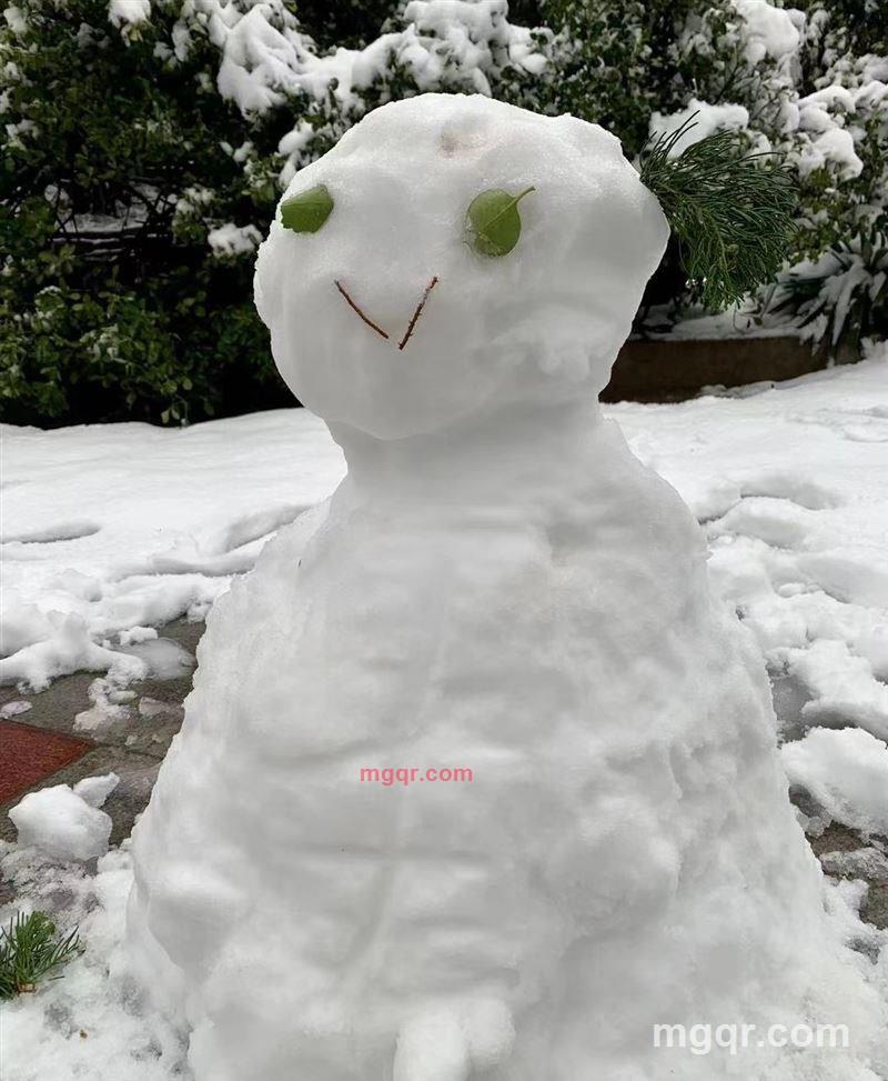 叶子的第6张照片