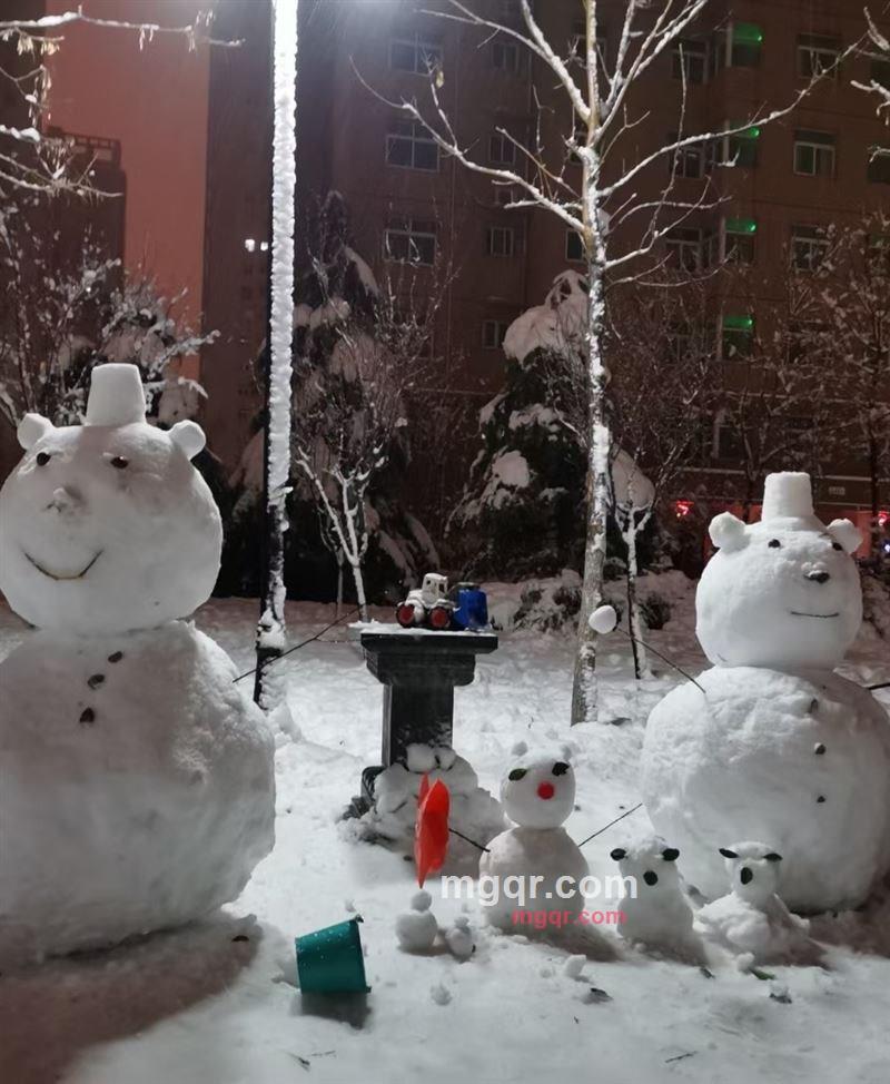 叶子的第5张照片