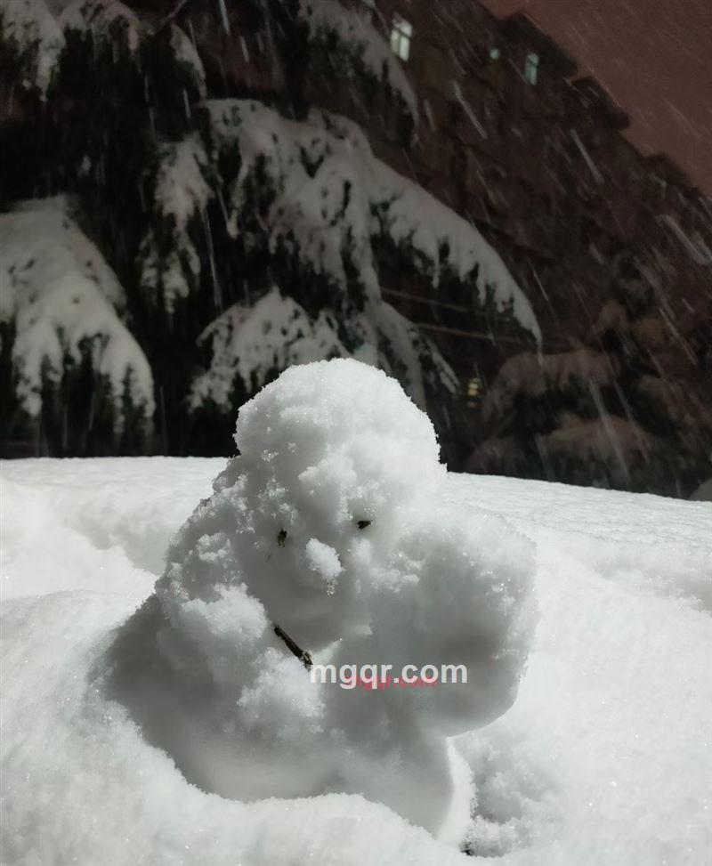 叶子的第4张照片