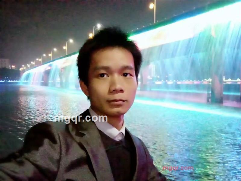 麒麟鸥的第3张照片