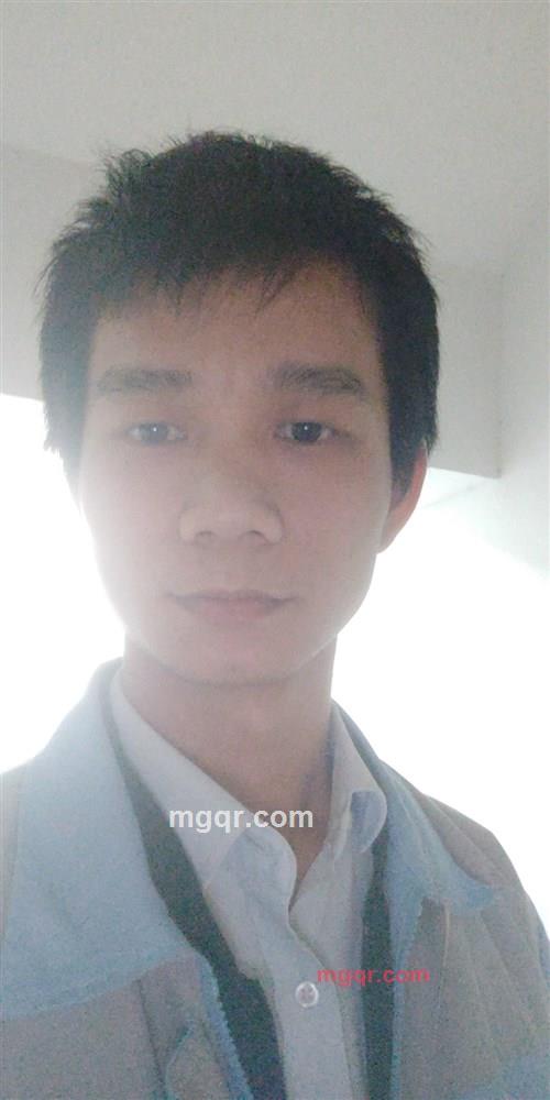 麒麟鸥的第1张照片