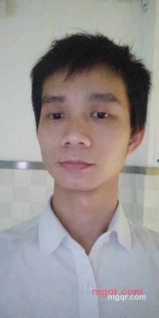 麒麟鸥的第2张照片